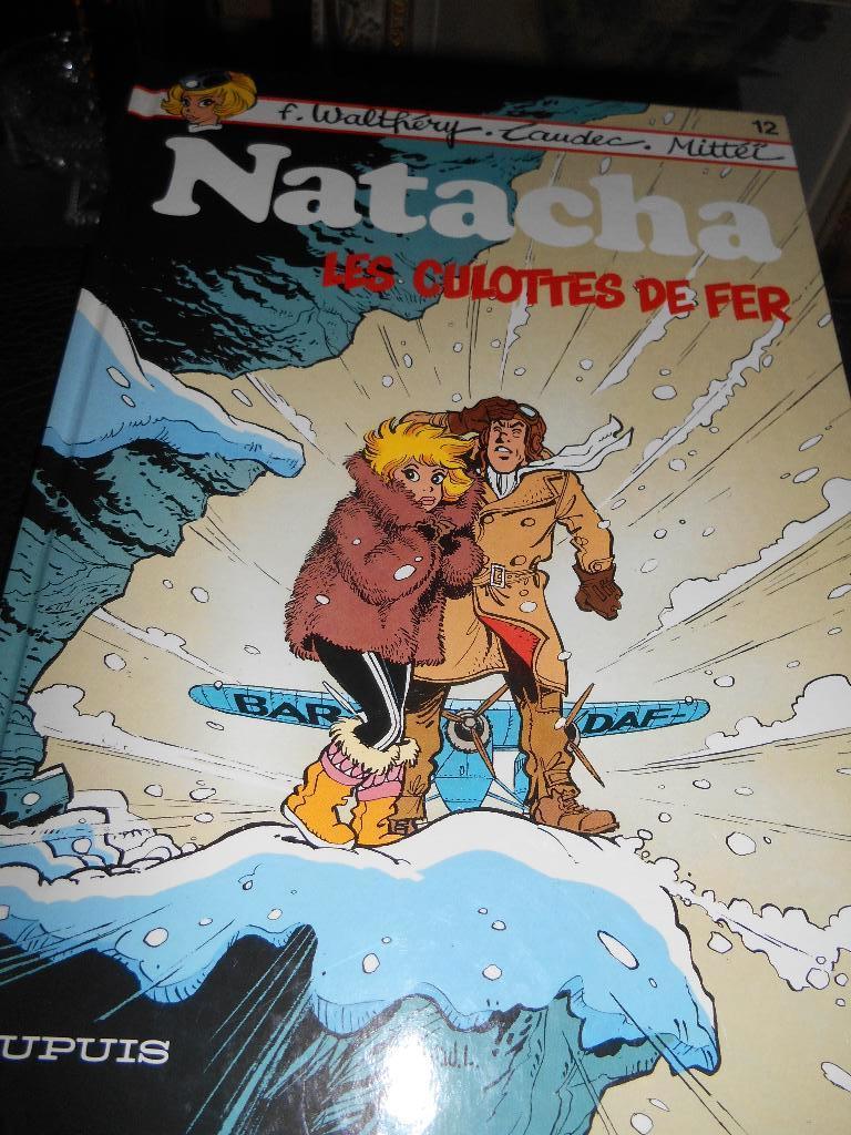 Natacha 12 eo, Livres, BD, Enlèvement ou Envoi