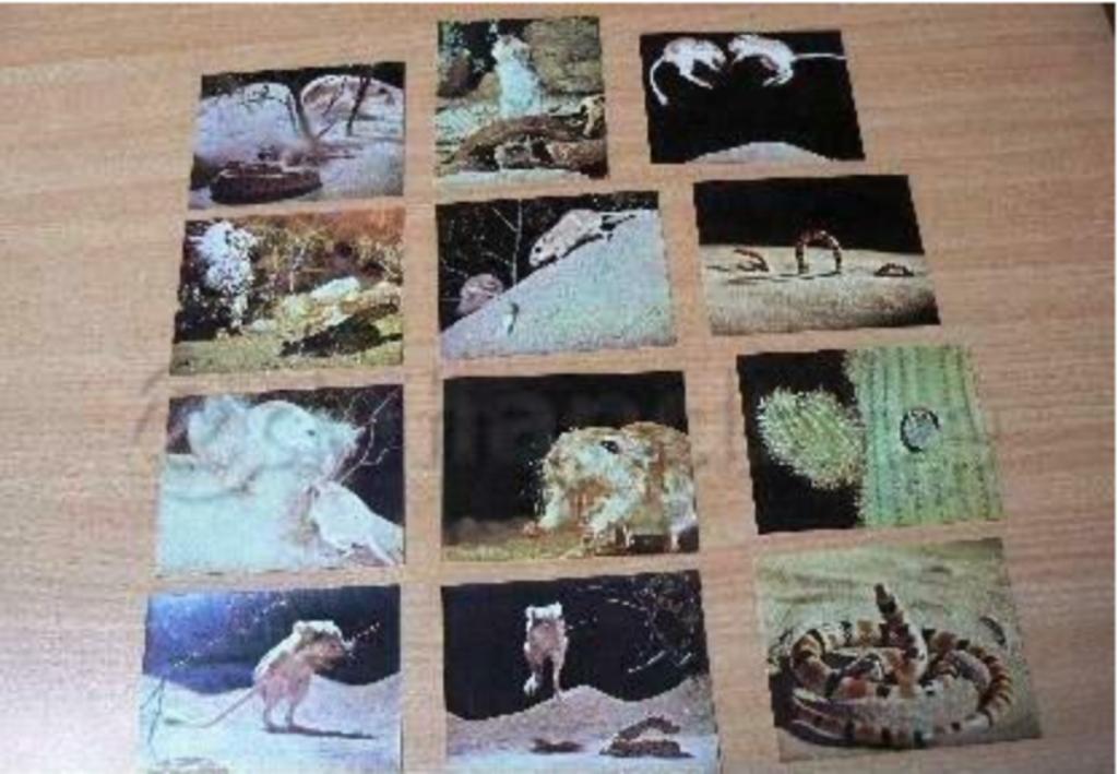 Vieilles photos Disney, Collections, Enlèvement ou Envoi