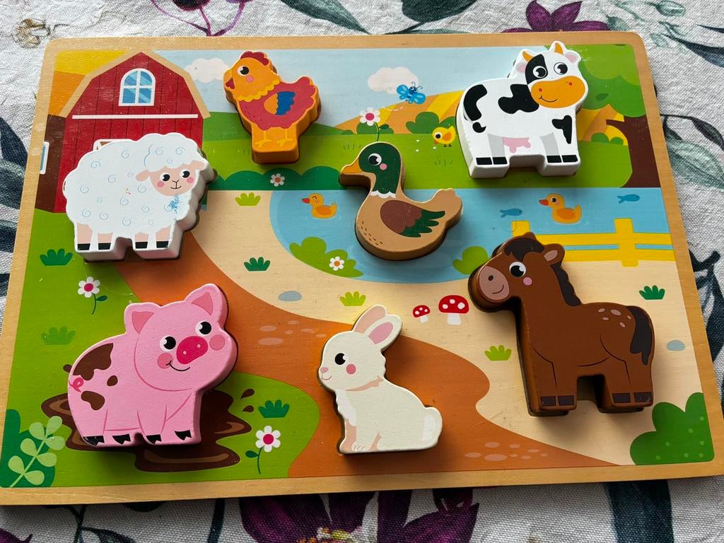 Ingebedde houten puzzel Huisdieren, Ophalen, Zo goed als nieuw, 2 tot 4 jaar, Van hout