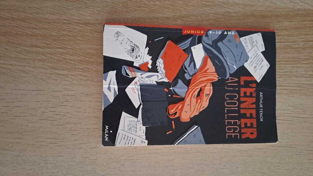 Livre scolaire, Enlèvement, Comme neuf, Enseignement secondaire inférieur, Français