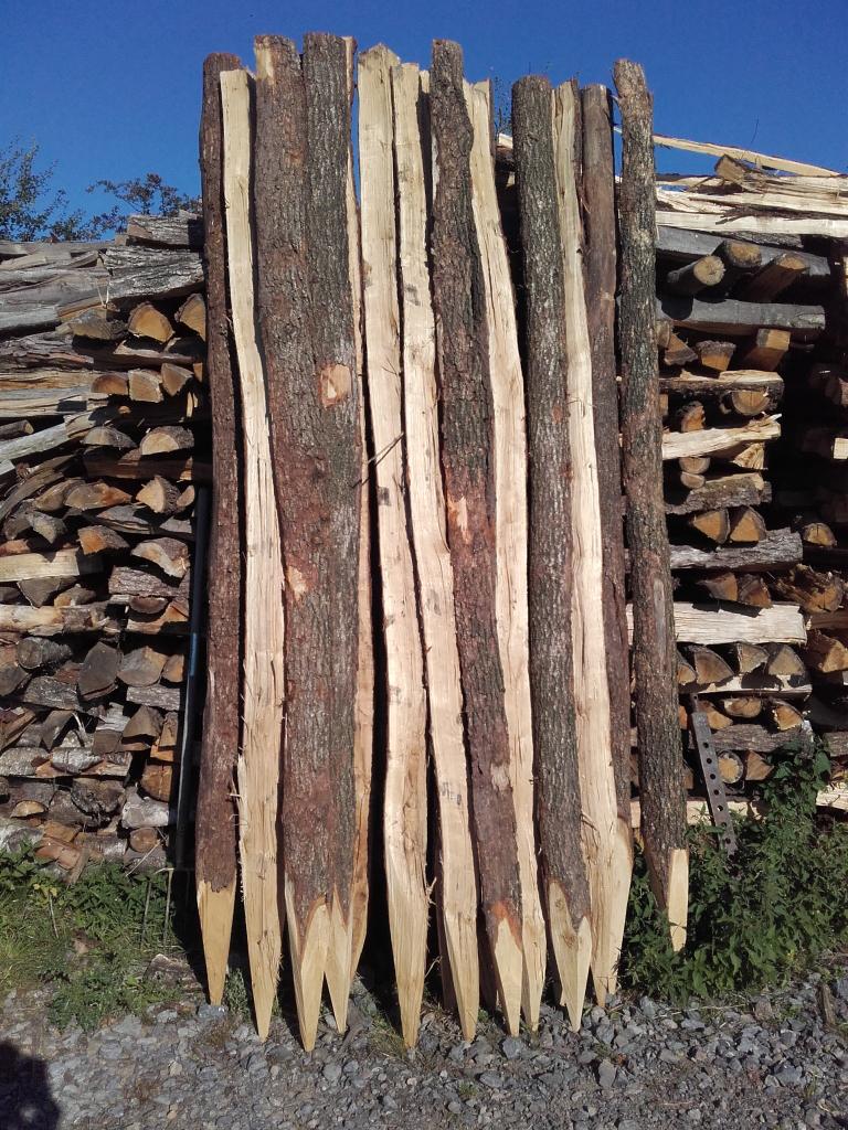 Piquets de cloture en chêne, Pâturage