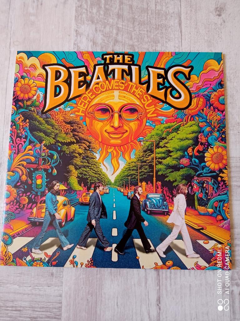 SIN89/Beatles/Rarities/verzamelaar, Ophalen of Verzenden, Zo goed als nieuw, 12 inch