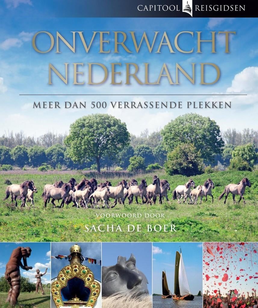 Capitool reisgidsen - Onverwacht Nederland, Ophalen of Verzenden, Capitool