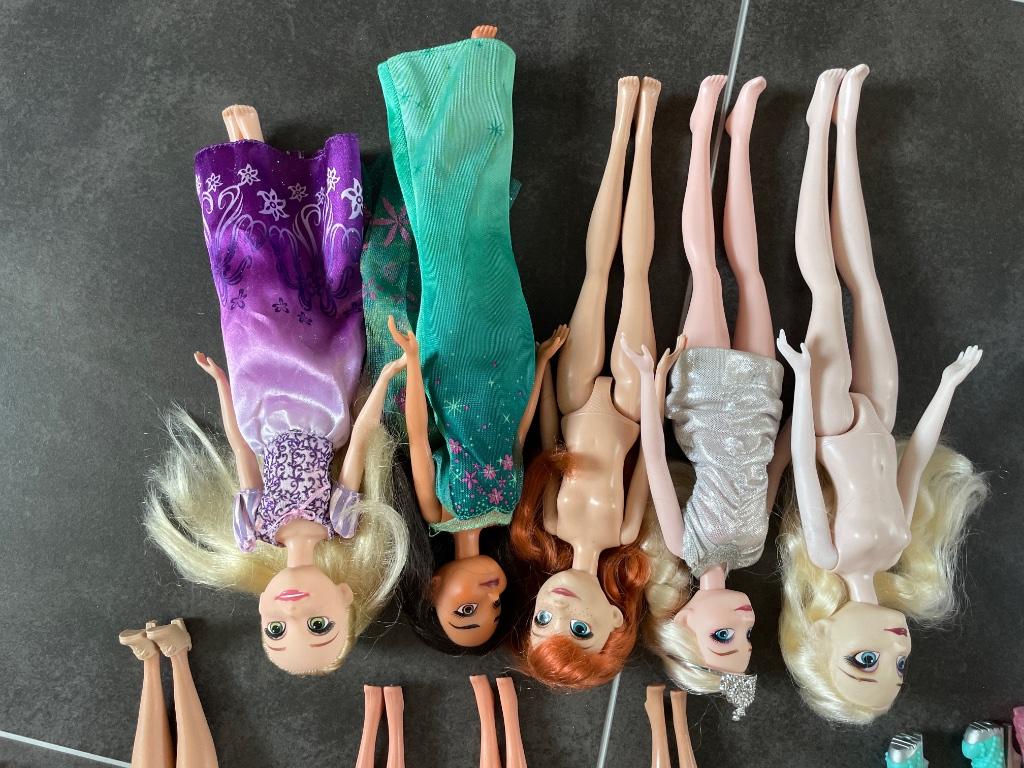 Barbie en My little pony, Enlèvement, Utilisé