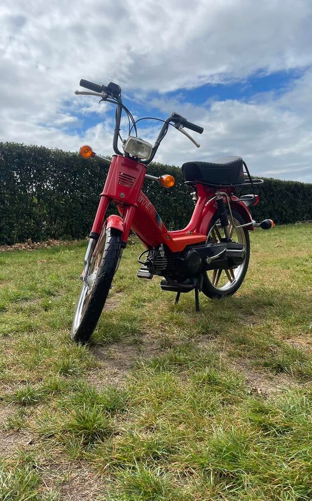 Honda camino sport b klasse, Enlèvement, Neuf