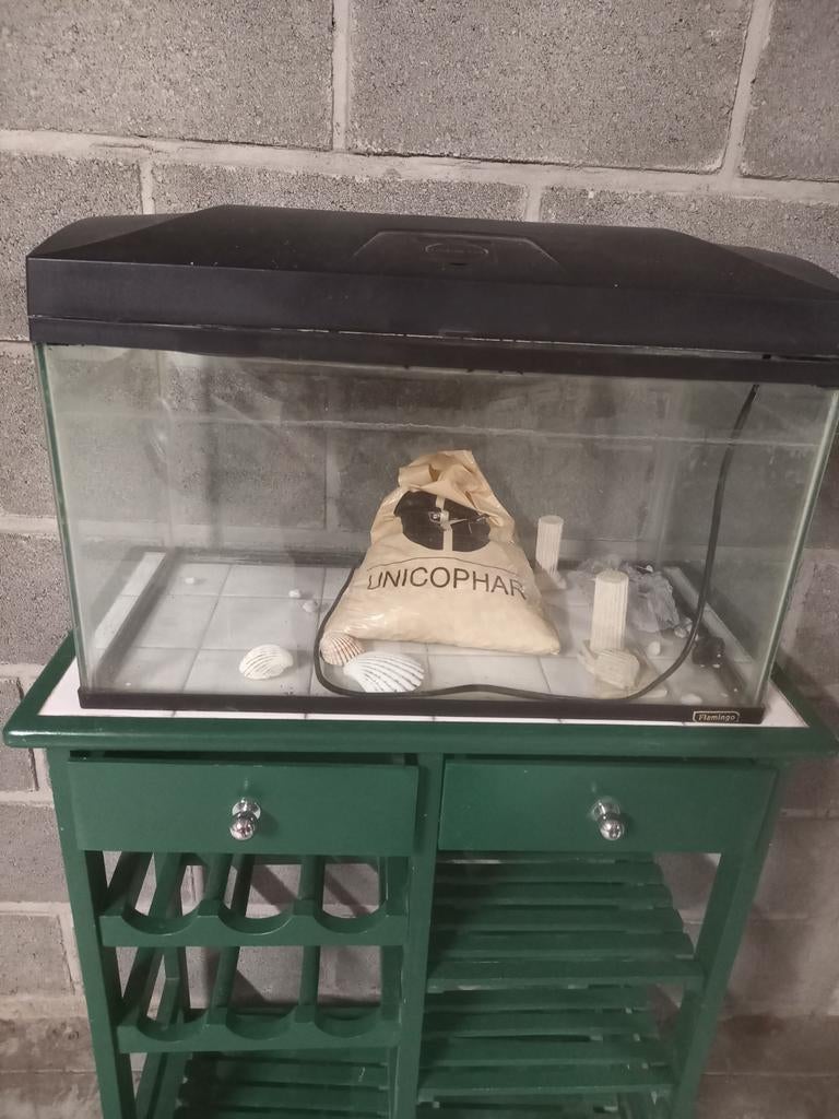 Aquaria, Ophalen of Verzenden, Gebruikt