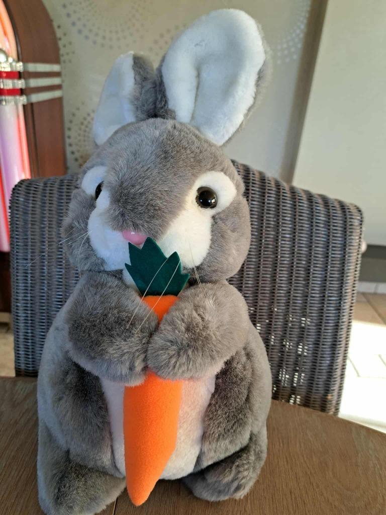 Konijn met wortel 30 cm (NIEUW), Kinderen en Baby's, Speelgoed | Knuffels en Pluche, Ophalen of Verzenden, Nieuw, Konijn