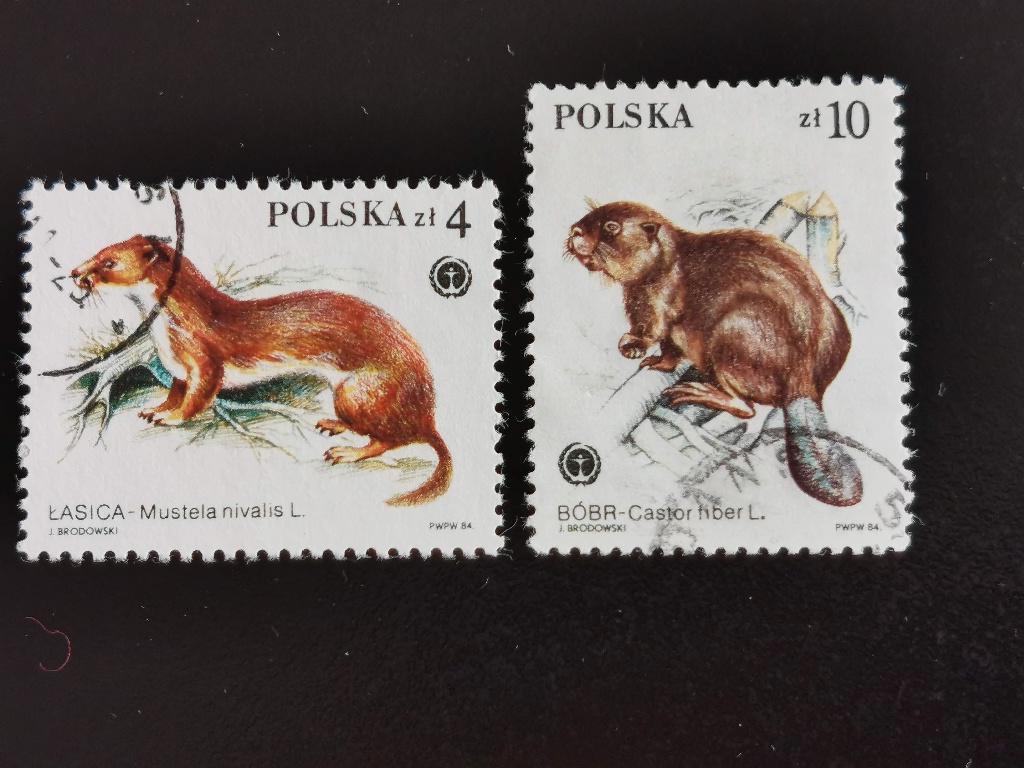 Pologne 1984 - animaux sauvages, belette, castor, Enlèvement ou Envoi, Pologne, Affranchi