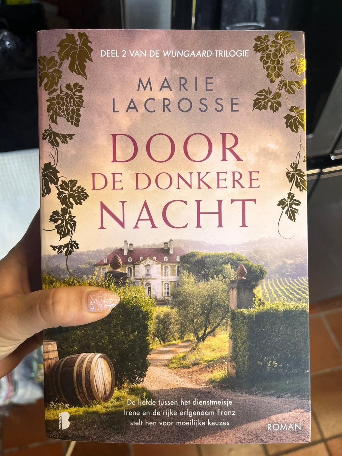 Marie Lacrosse - Door de donkere nacht, Boeken, Literatuur, Ophalen
