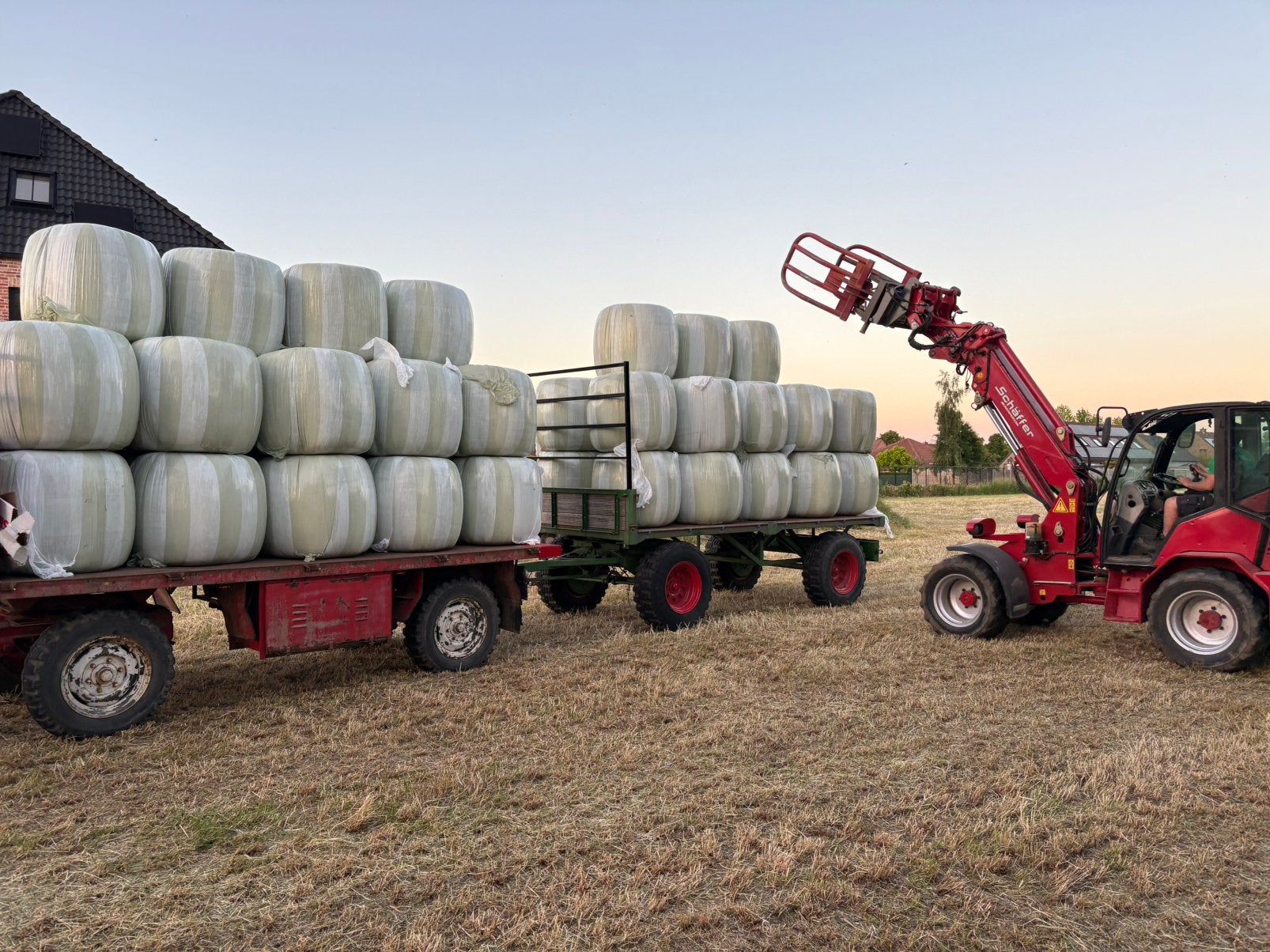 Midi balen hooi te koop, Zakelijke goederen, Landbouw | Veevoer, Ophalen