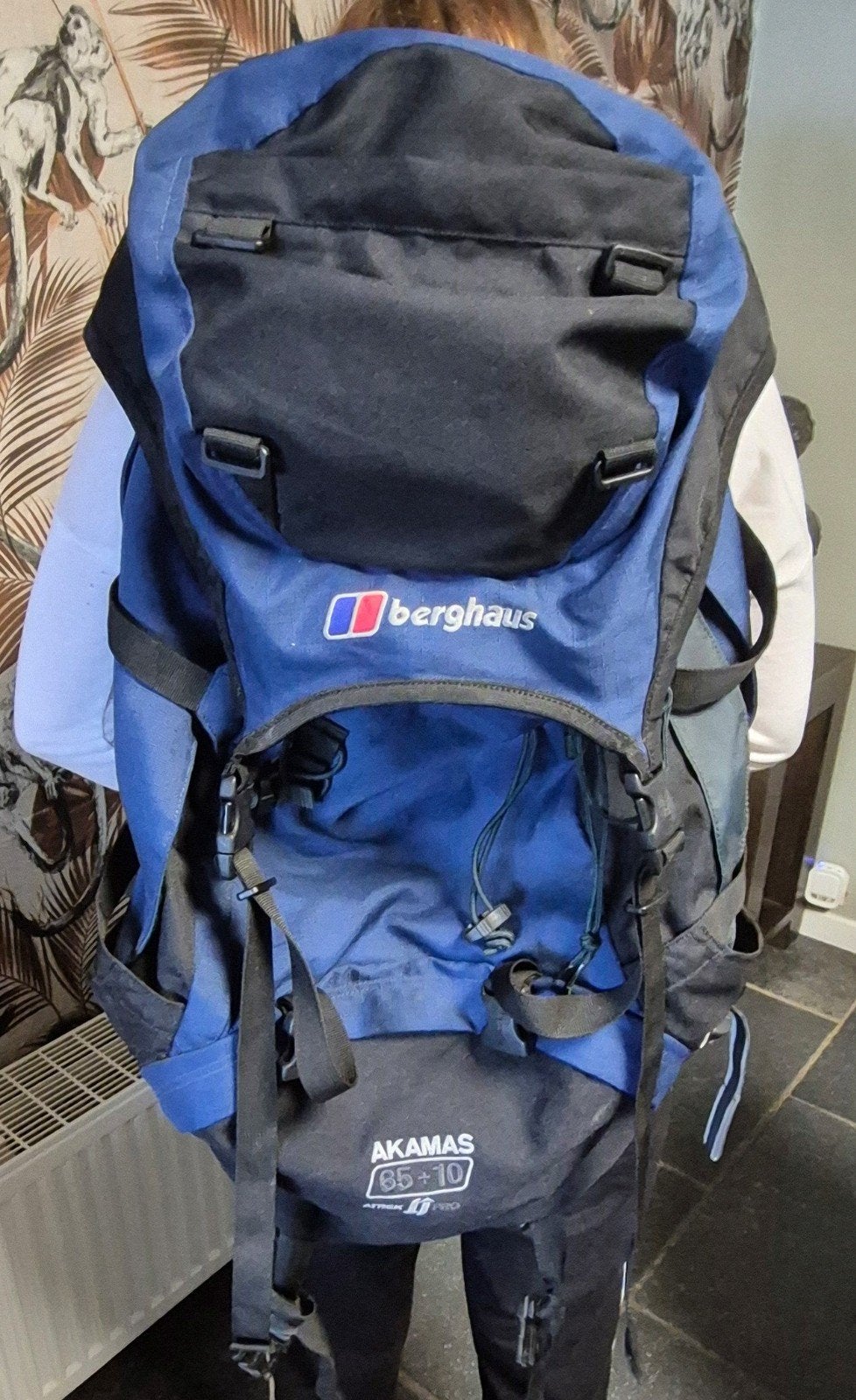 Berghaus Akamas 65 10, Enlèvement ou Envoi
