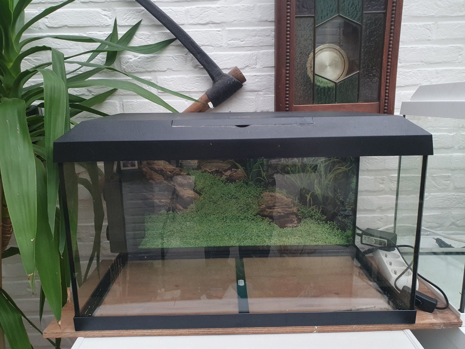 aquarium te koop, Animaux & Accessoires, Enlèvement, Pompe, Utilisé, Juwel