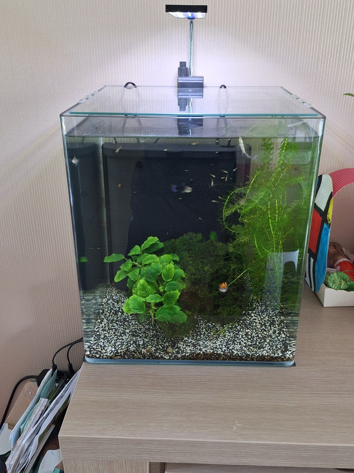 mooi om te starten, Ophalen, Filter