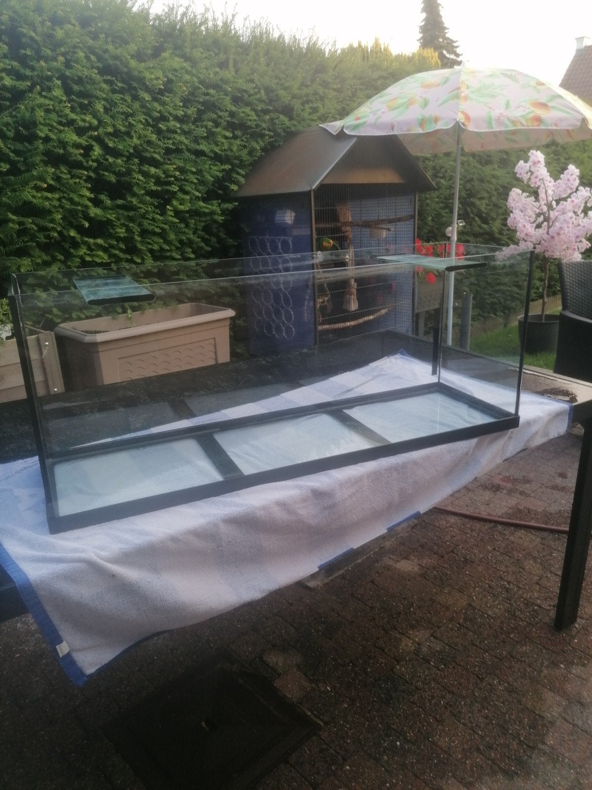 Juwel aquarium, Dieren en Toebehoren, Ophalen, Juwel