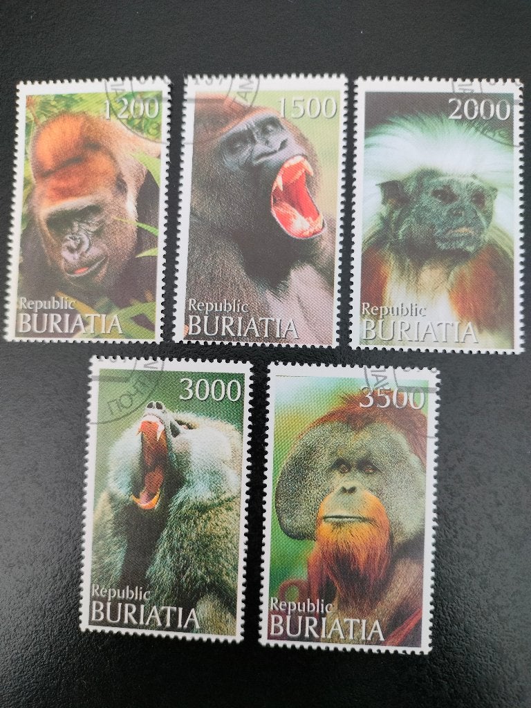 Bouriatie 1997 - singes, Envoi, Affranchi