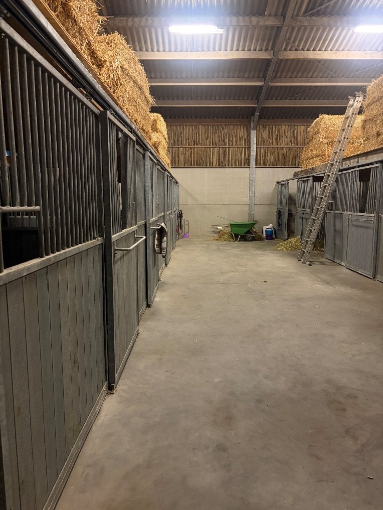 Volpension paard/pony, Mise à l'étable, 4 chevaux ou poneys ou plus