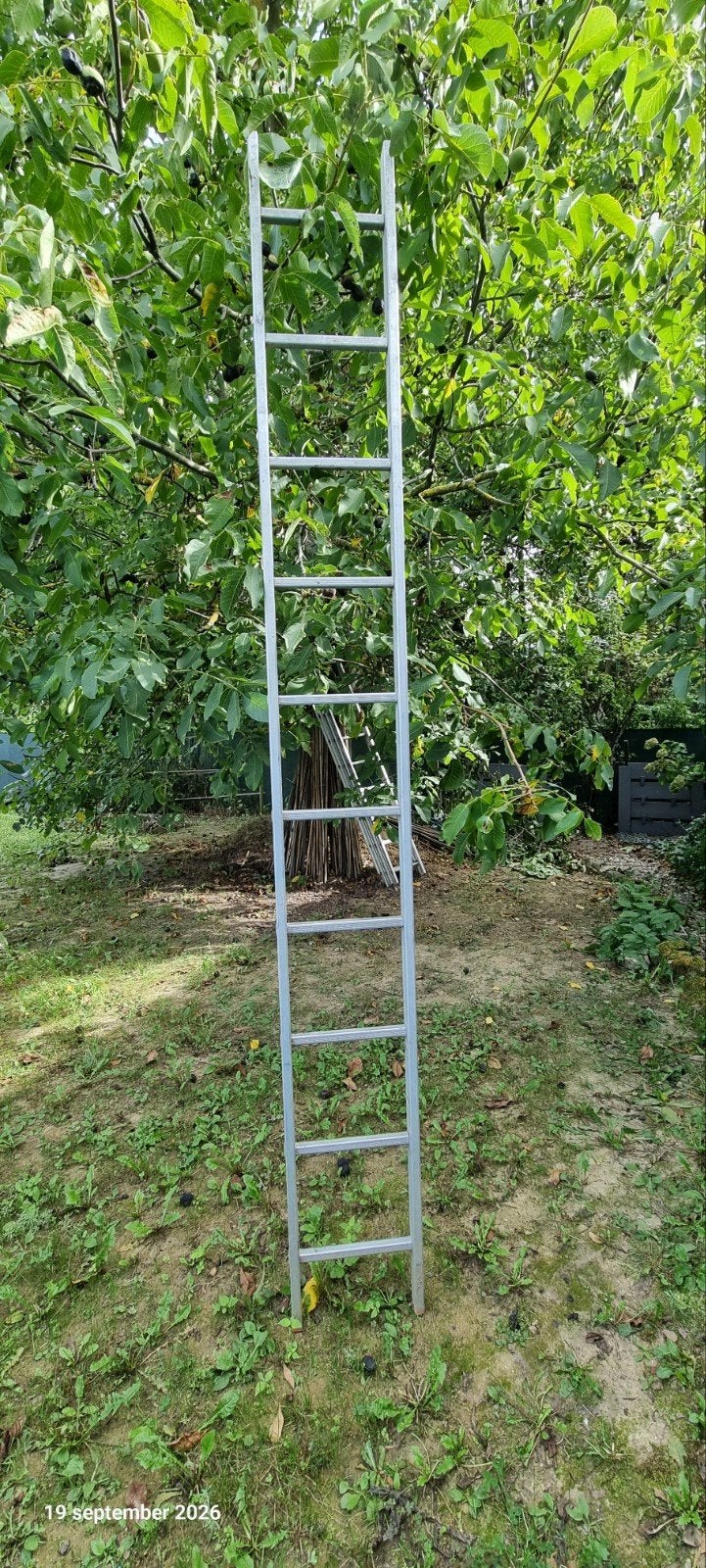 Échelle simple en aluminium 290 cm, Enlèvement