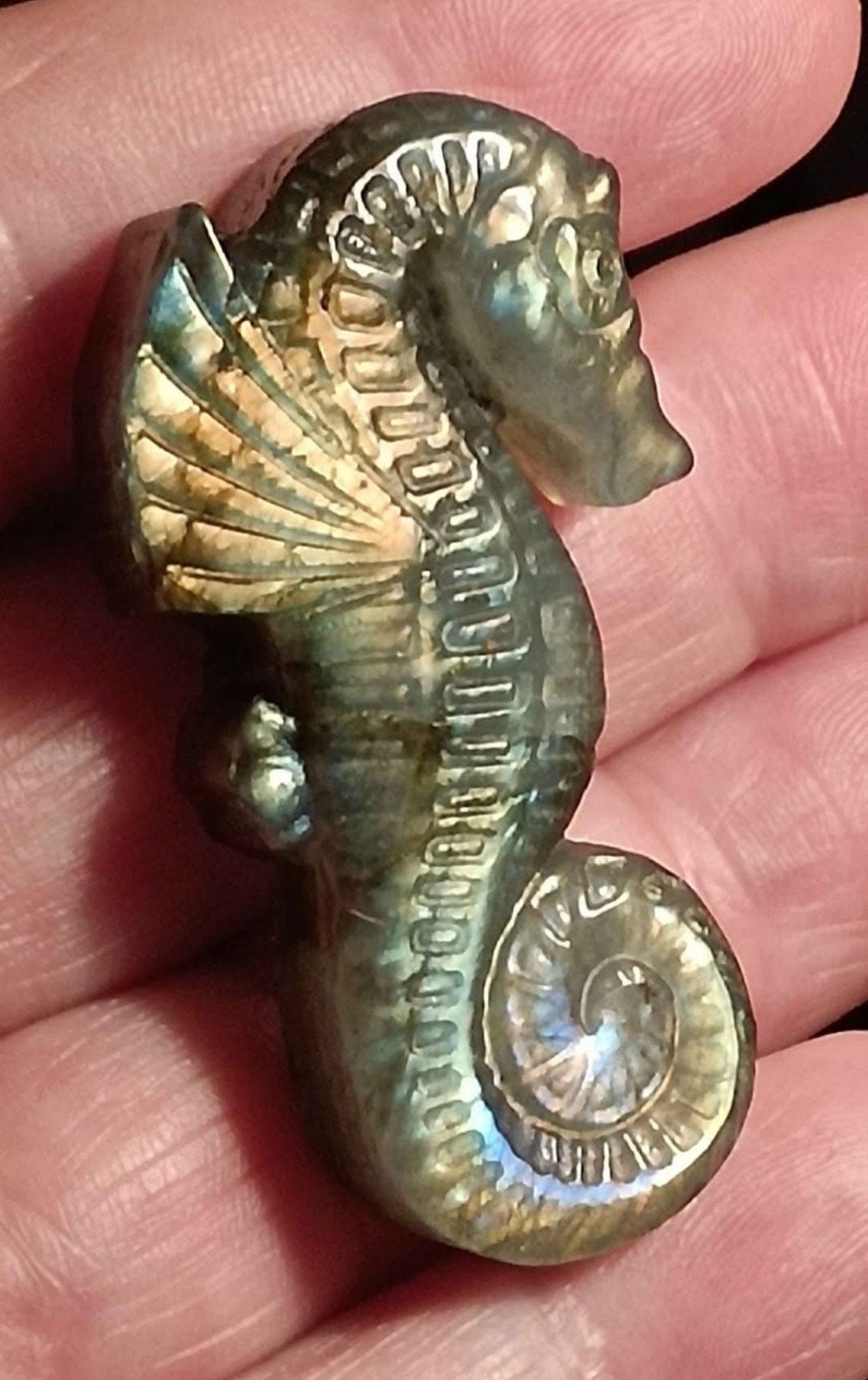 Hippocampe sculpté en labradorite, Neuf