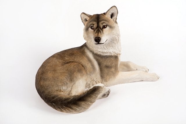 Grande statue de loup réaliste 45 cm — de jardin Wolf New, Enlèvement ou Envoi, Neuf, Animal