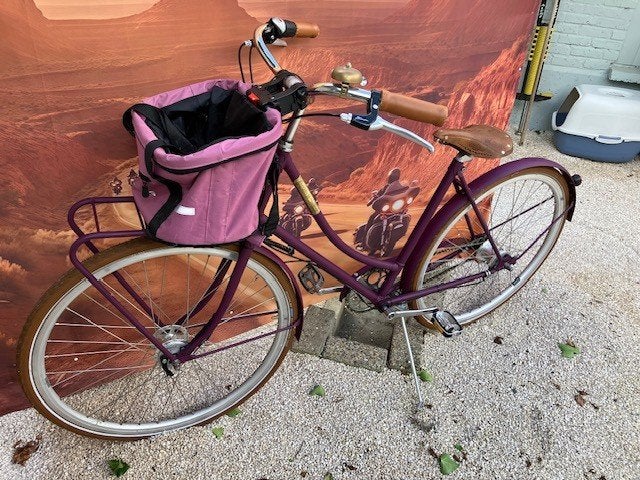 meisjes fiets, Frein à tambour, 26 pouces ou plus, Frein à main, Comme neuf