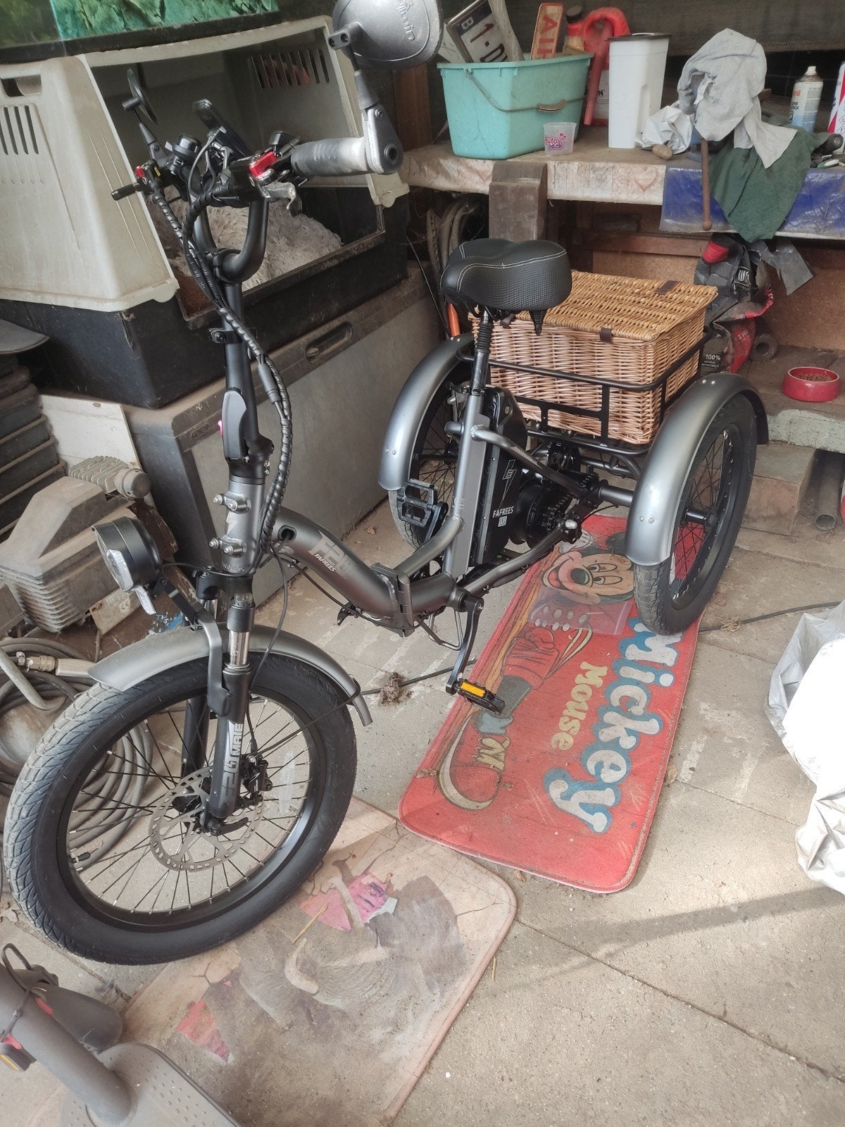 Elektrische driewielfiets, Fietsen en Brommers, Ophalen