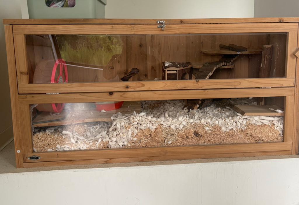 Terrarium hout kooi terarium, Ophalen, Zo goed als nieuw, 75 tot 110 cm, 60 tot 90 cm