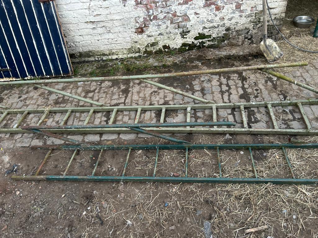 Vielle echelle style fermette, Tuin en Terras, Tuinhekken en Hekwerk, Ophalen, Gebruikt, IJzer