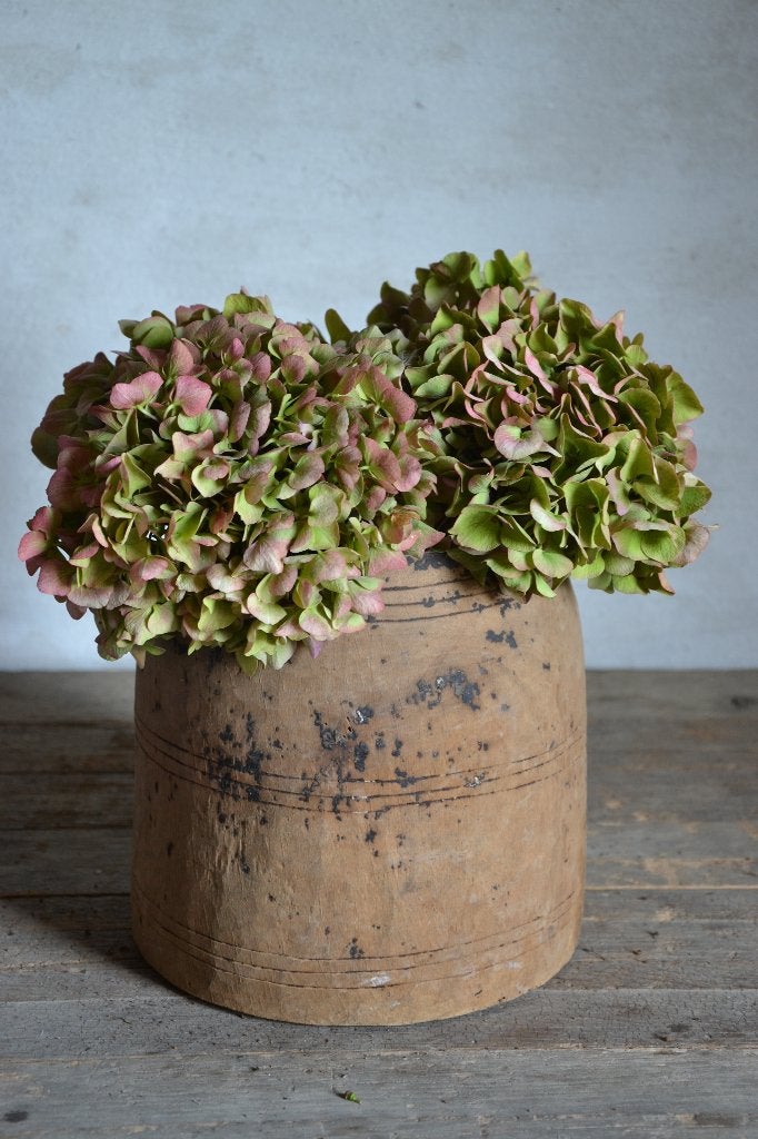 Kunsttak hortensia, Neuf, Soie, Enlèvement ou Envoi, Vert