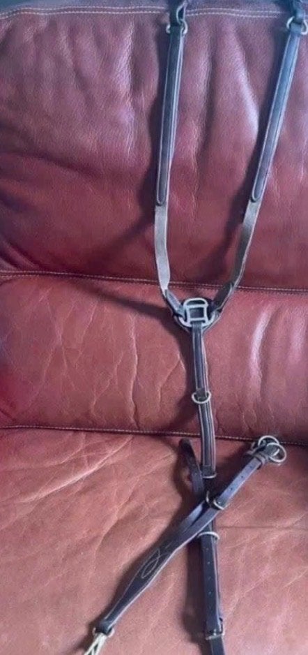 Collier de chasse et martingale Pessoa brun t:full/chev, Animaux & Accessoires, Enlèvement ou Envoi, Utilisé