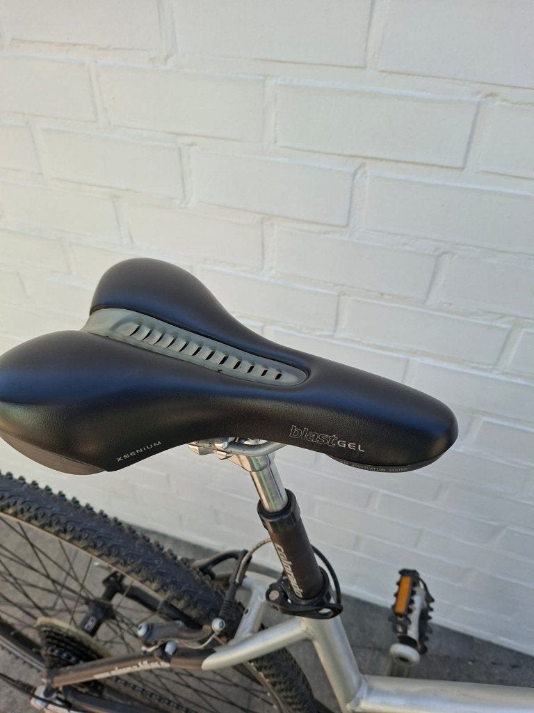 Minerva dames fiets, Autres marques, Vitesses, Frein sur jante, Enlèvement