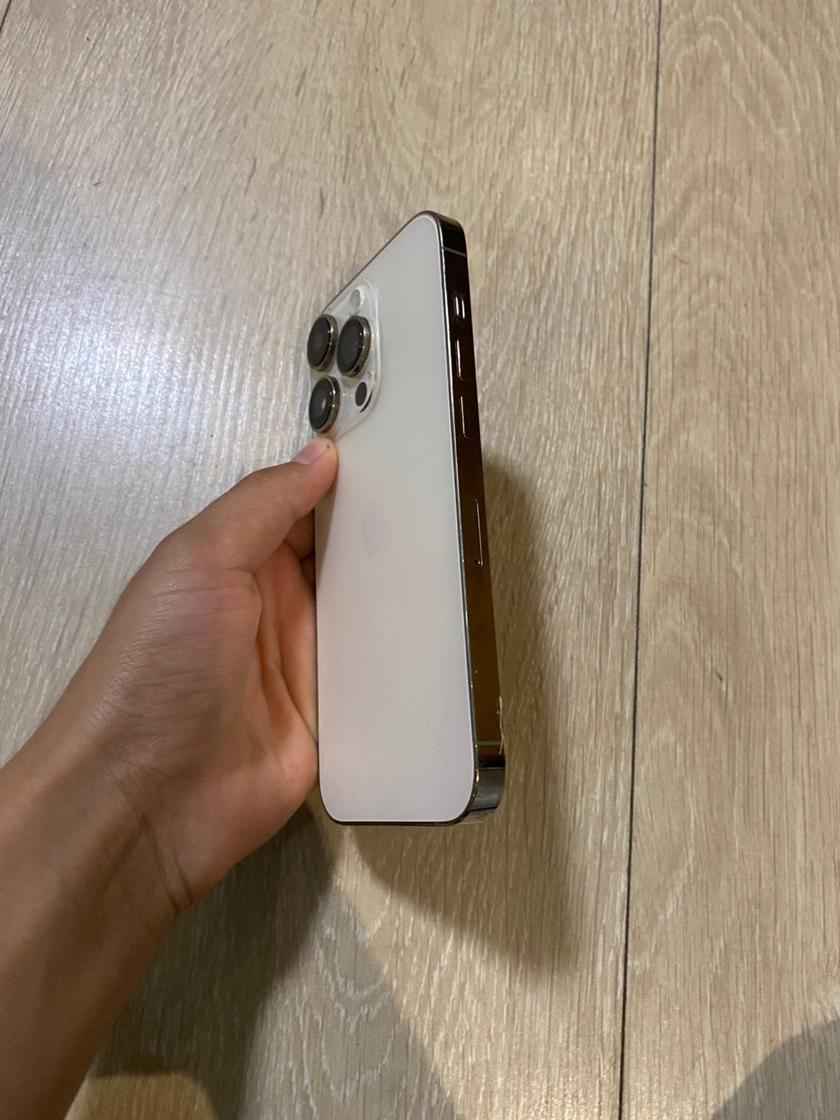 Iphone 14 pro, Telecommunicatie, Mobiele telefoons | Hoesjes en Screenprotectors | Apple iPhone, Ophalen, Zo goed als nieuw, IPhone 14