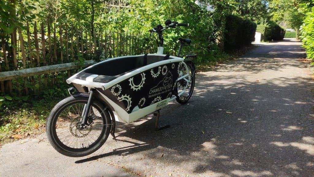 Vélo cargo Urban Arrow, Vélos & Vélomoteurs, Autres marques, Enlèvement, Utilisé, 2 enfants