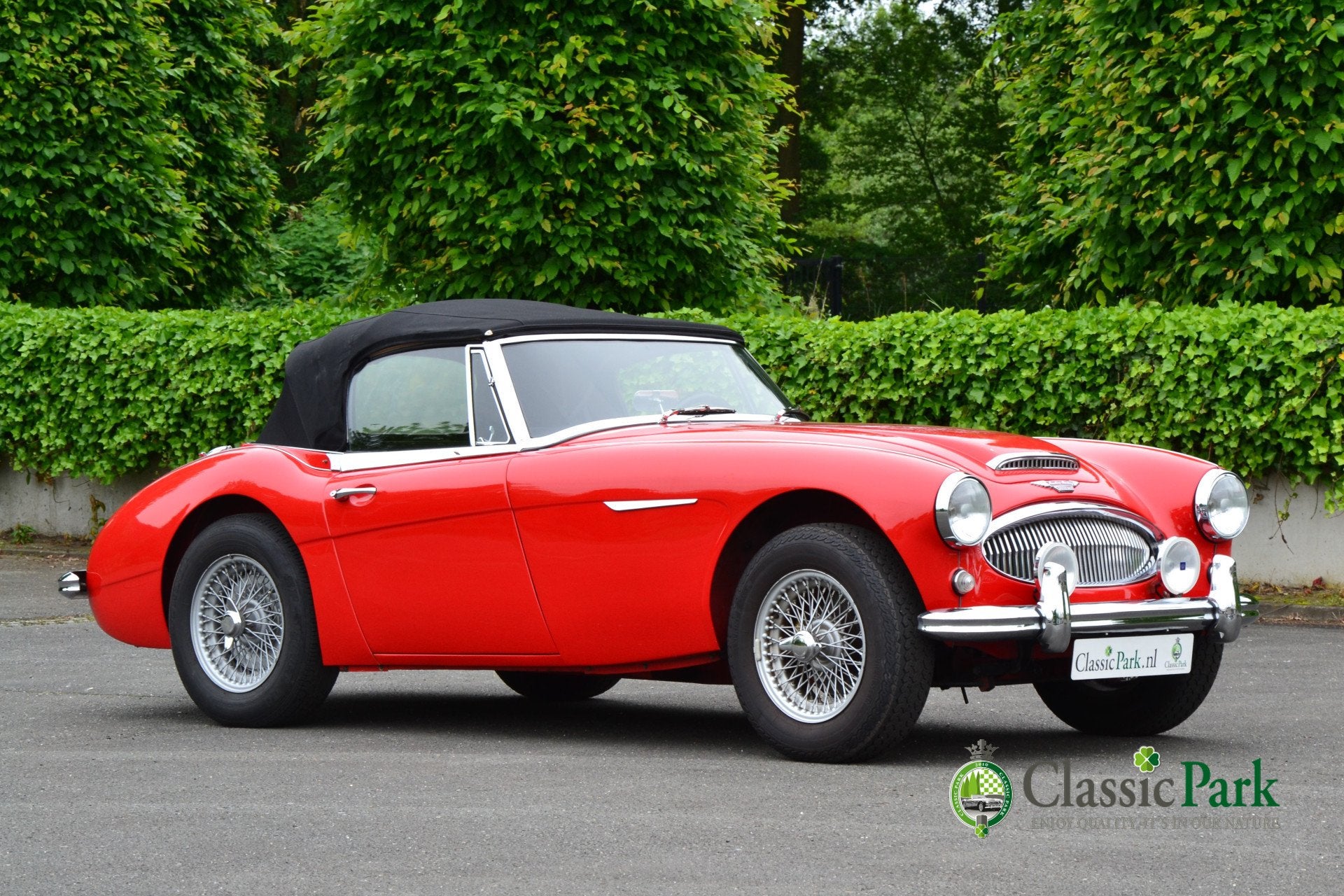 Austin Healey 3000 MK II A (bj 1962), foto 11