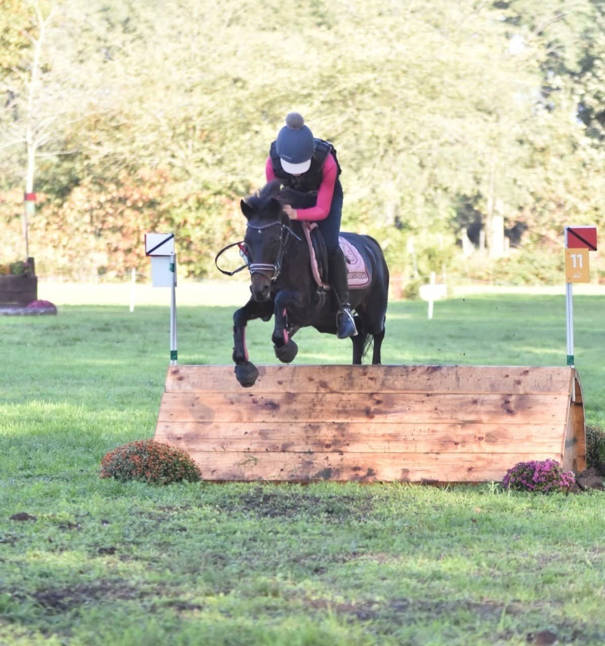 Veelzijdige C-pony zoekt een nieuwe thuis!, Dieren en Toebehoren, Springpaard, Minder dan 160 cm, B, 11 jaar of ouder