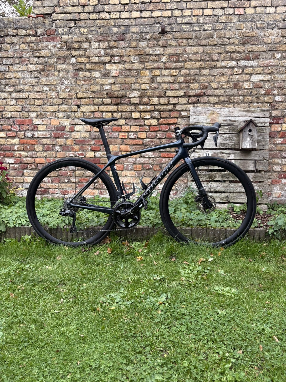 Giant TCR Advanced 2023, Vélos & Vélomoteurs, 49 à 53 cm, Giant, Enlèvement, Utilisé