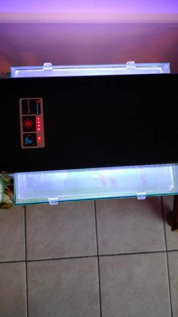 Aquarium 30 Liter, Dieren en Toebehoren, Ophalen, Gebruikt, Inclusief deksel, Gevuld zoetwateraquarium
