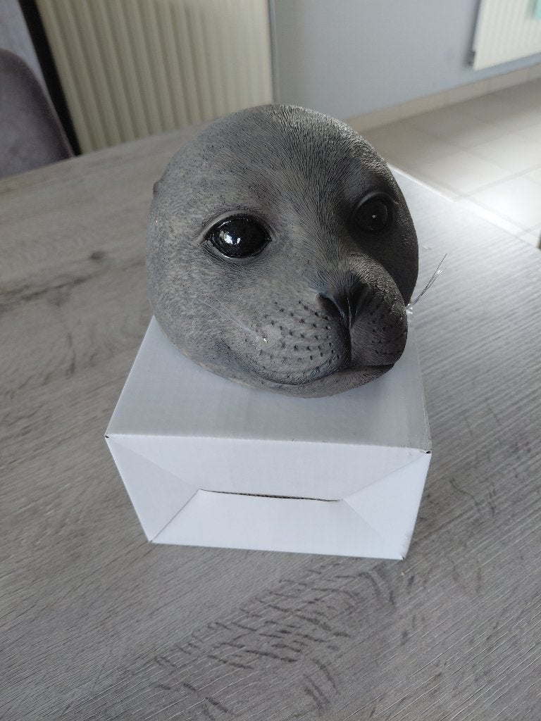 Zeehond hoofd voor in de vijver, Jardin & Terrasse, Enlèvement, Neuf