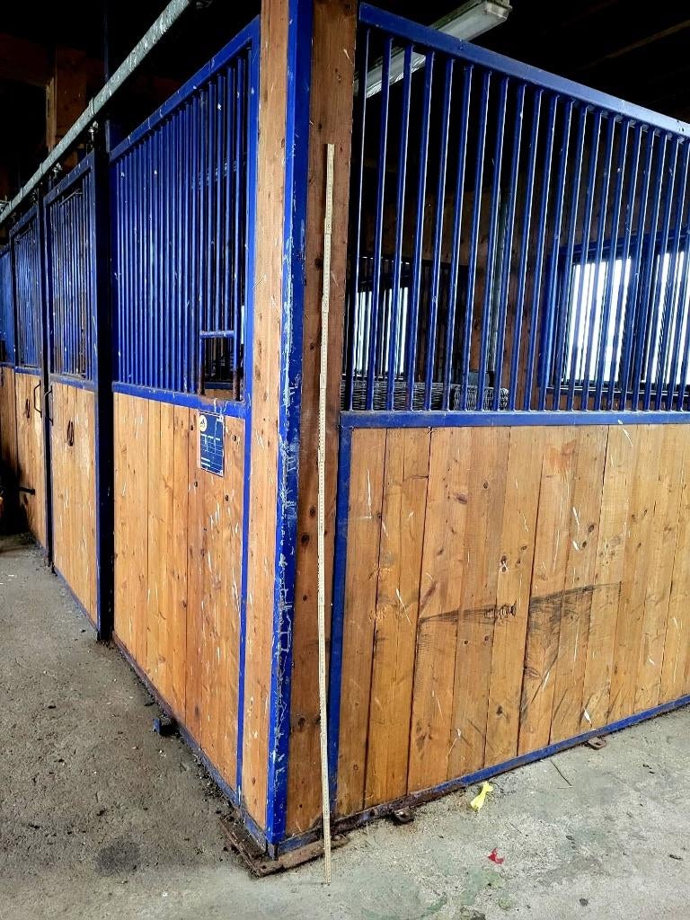 éléments de box  chevaux, Dieren en Toebehoren, Stalling en Weidegang, Opfok, Stalling, Weidegang, Accessoires