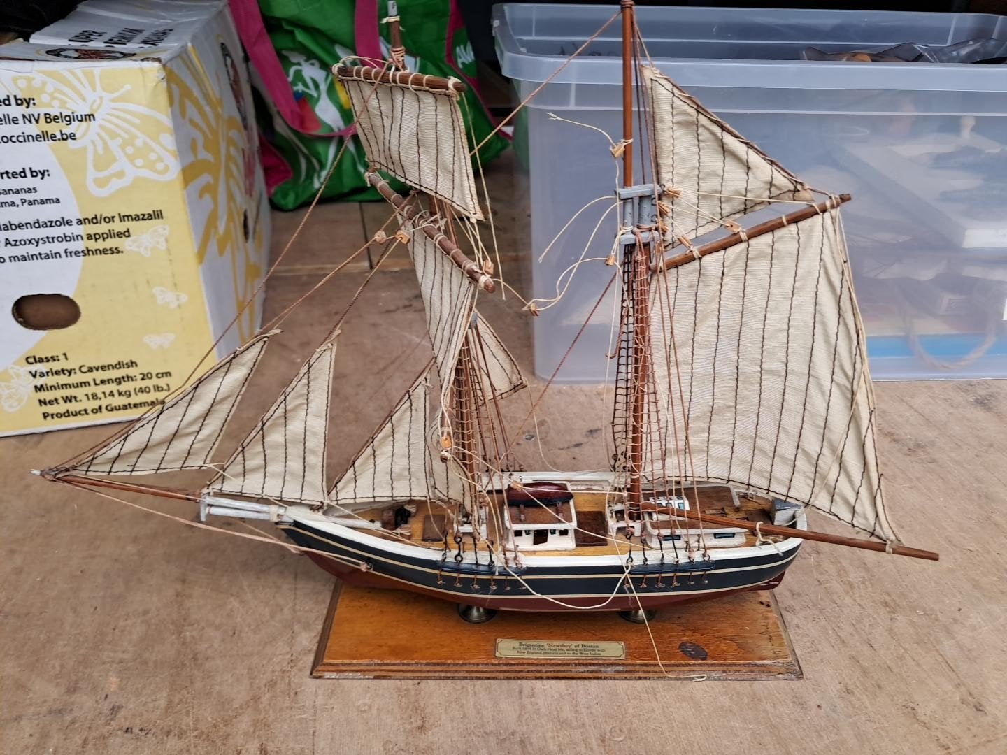 Brigantine Newsboy of Boston built 1854, Ophalen