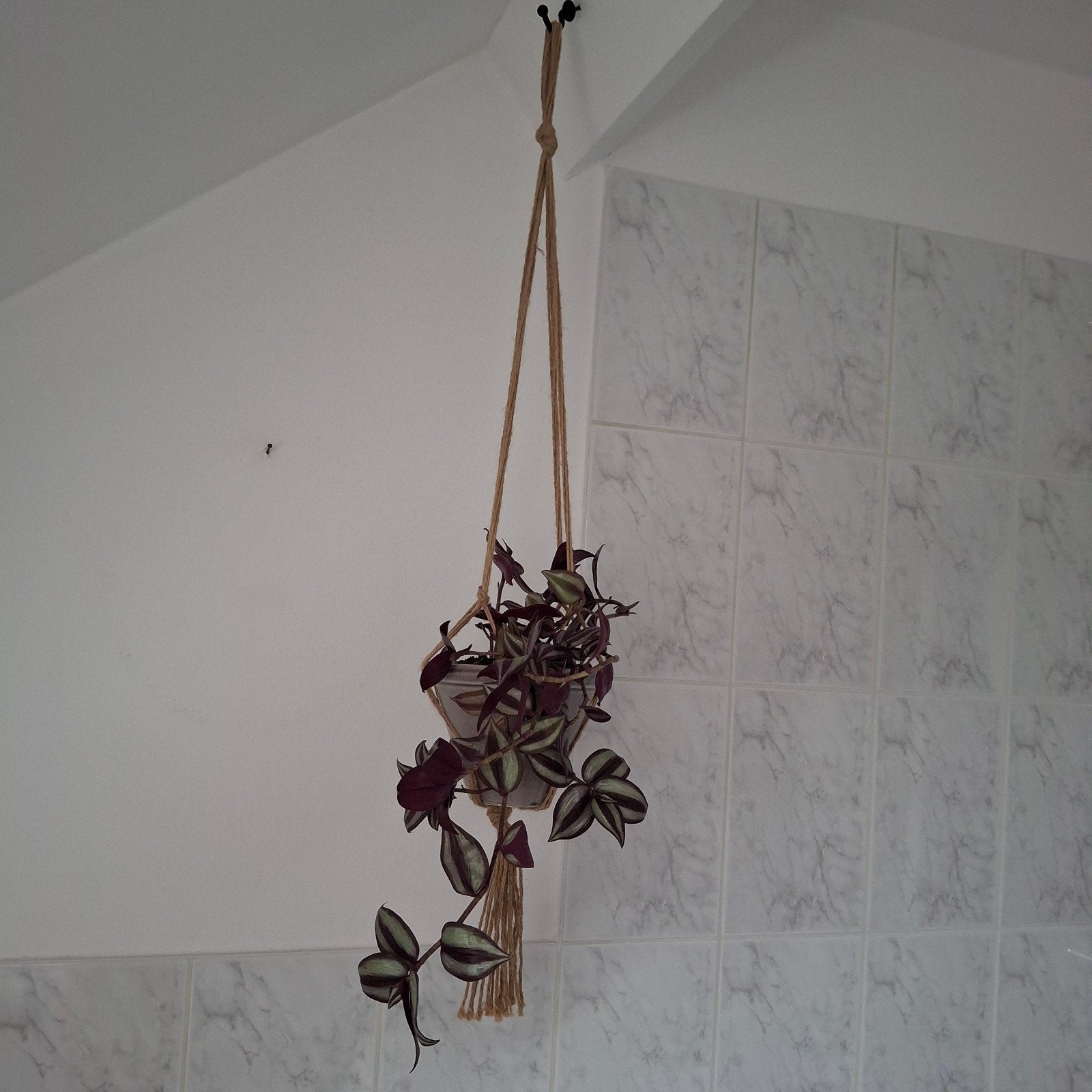 cintre en macramé avec pot gris et plante suspendue, Enlèvement