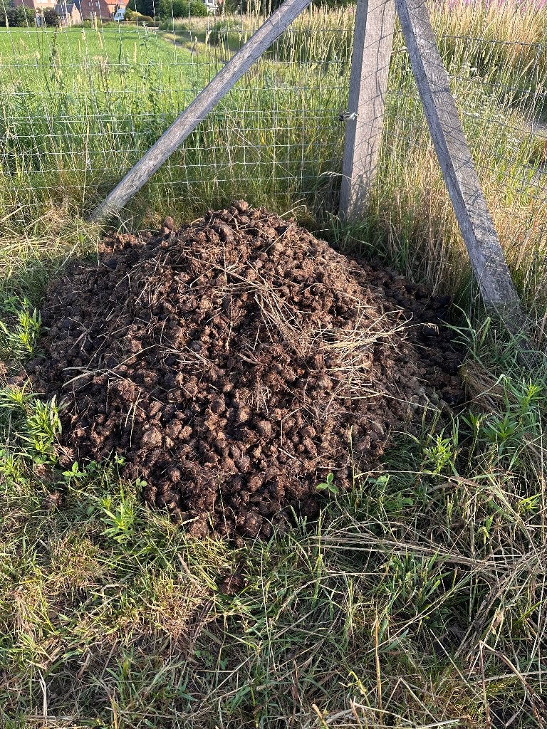 Gratis paardenmest, Tuin en Terras, Ophalen, Mest