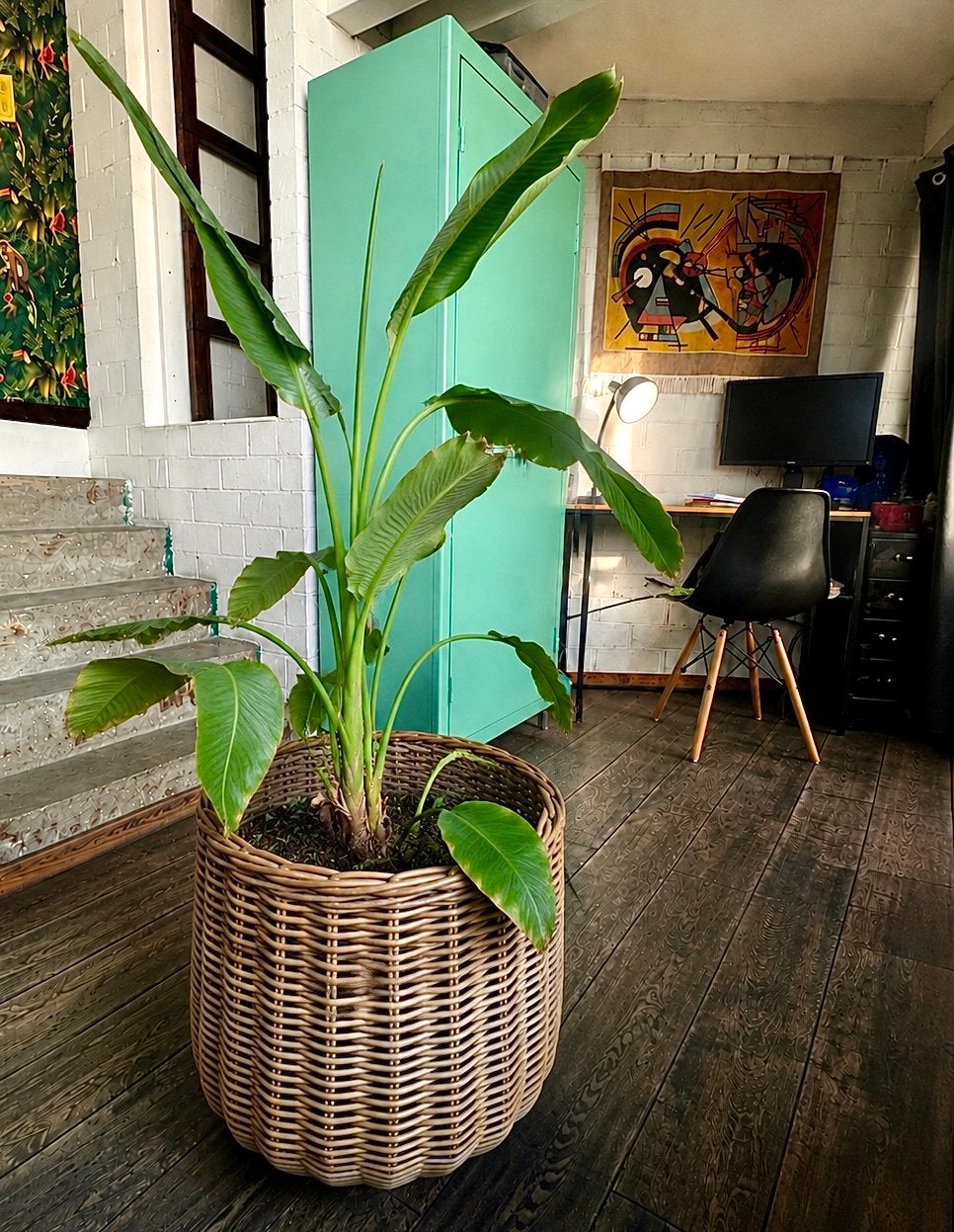 Grote rotan plantenmand / bloempot, Ophalen, Overige materialen, 40 cm of meer, Rond