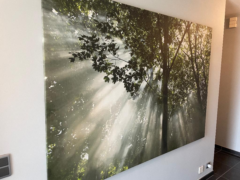 Grote wanddecoratie IKEA – 200 x 140 cm, Ophalen