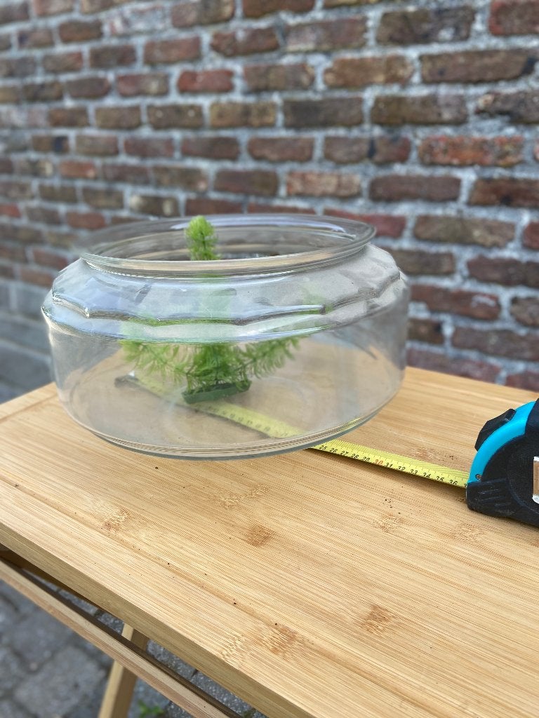 Aquarium rond + pompe, Animaux & Accessoires, Enlèvement, Pompe, Utilisé, Bocal à poissons