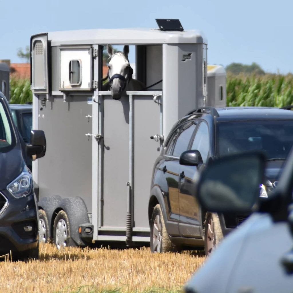 Paardentrailer Ifor Williams HB403 1,5 paards (2018), Dieren en Toebehoren, Ophalen, Zo goed als nieuw, Aluminium, 1½-paards trailer