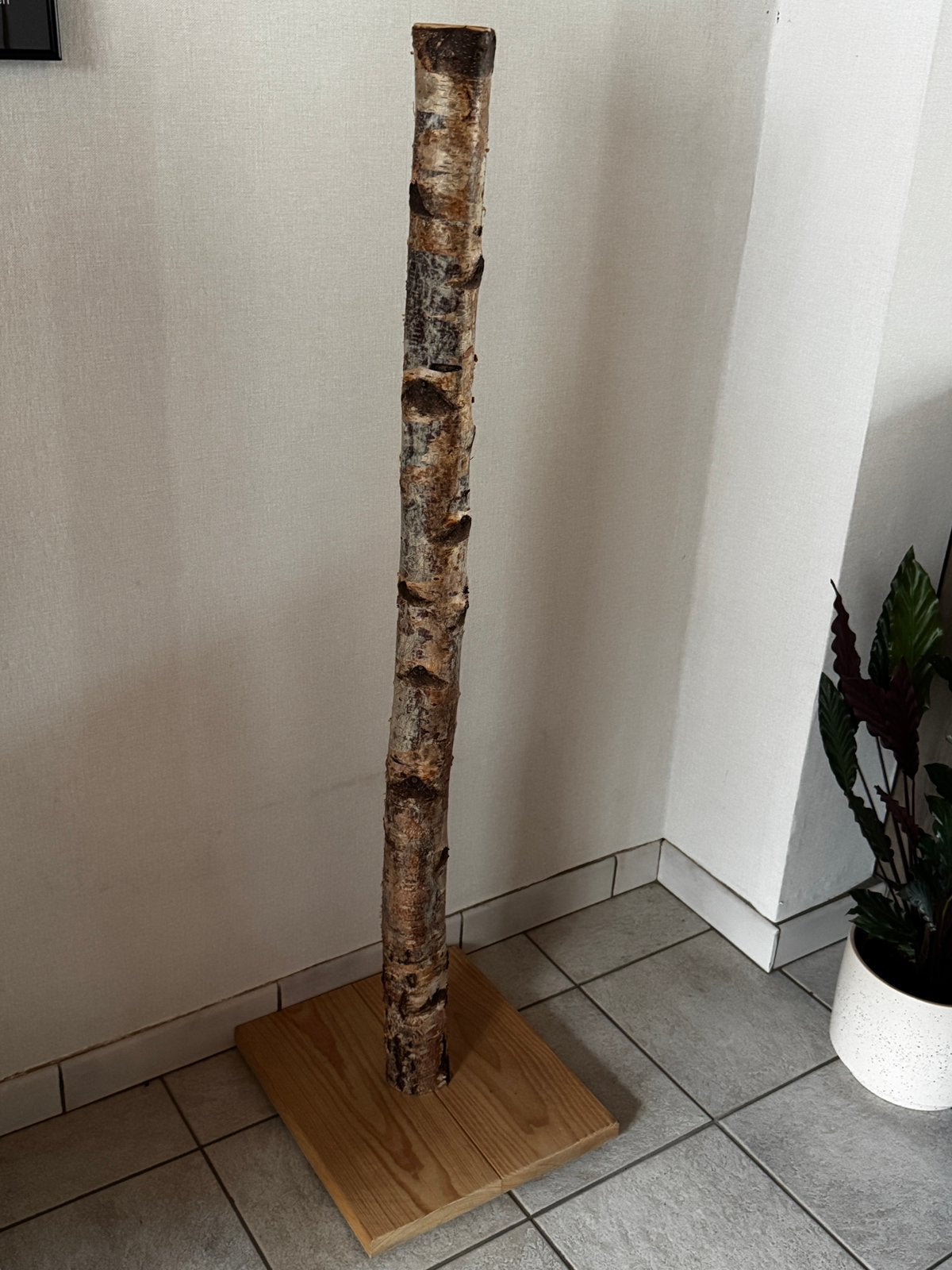 Krabpaal hout (berk), Dieren en Toebehoren, Krabmeubelen, Nieuw, Krabpaal, Ophalen