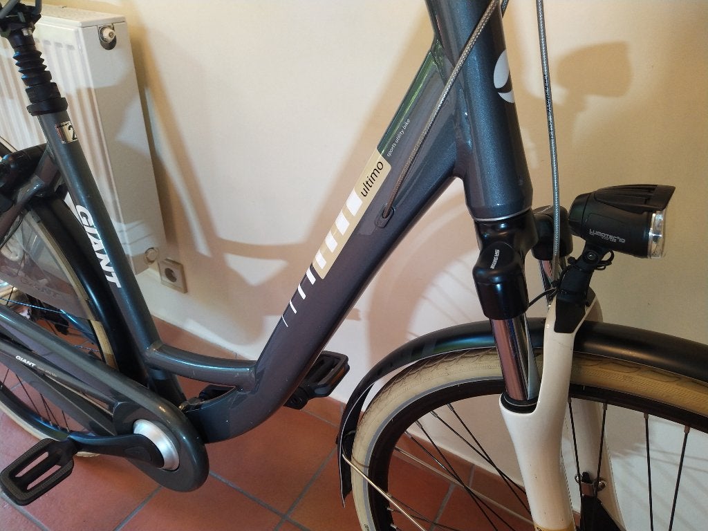Vélos Giant Ultimo pour femmes, Vitesses, 53 à 56 cm, Giant, Enlèvement