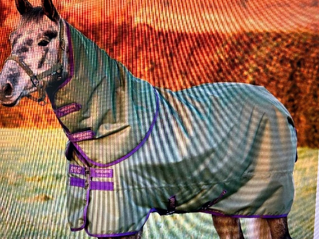 winterdeken paard, Enlèvement ou Envoi, Comme neuf, Récréation