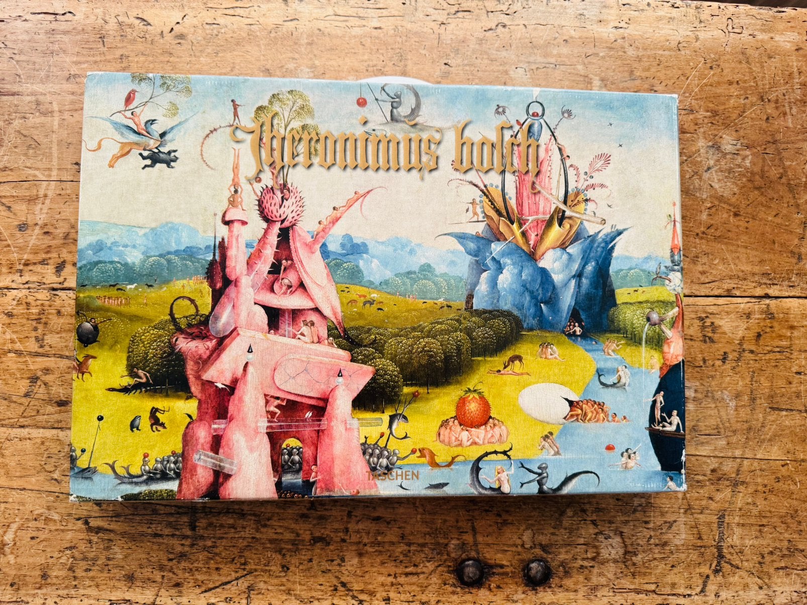 Œuvre Complète Hieronymus Bosch, Boeken, Ophalen, Zo goed als nieuw