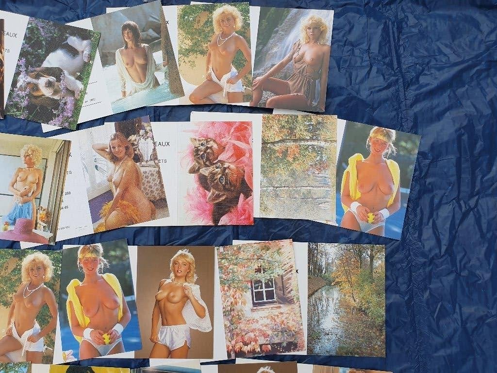 calendrier de poche, Enlèvement ou Envoi, Calendrier annuel, Neuf